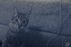 Cena do clipe Medo, de Deb and The Mentals (Reprodução)