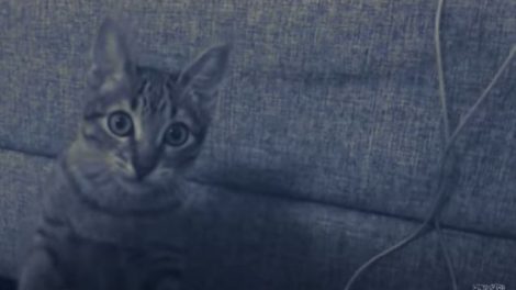 Cena do clipe Medo, de Deb and The Mentals (Reprodução)